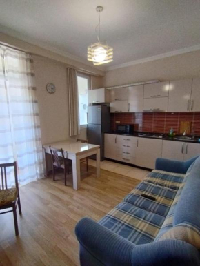 Apartments Anzor